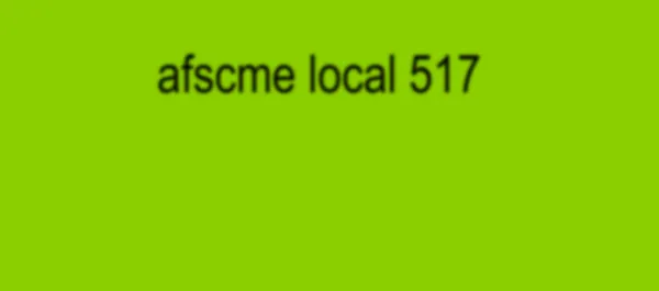 afscme brat 2